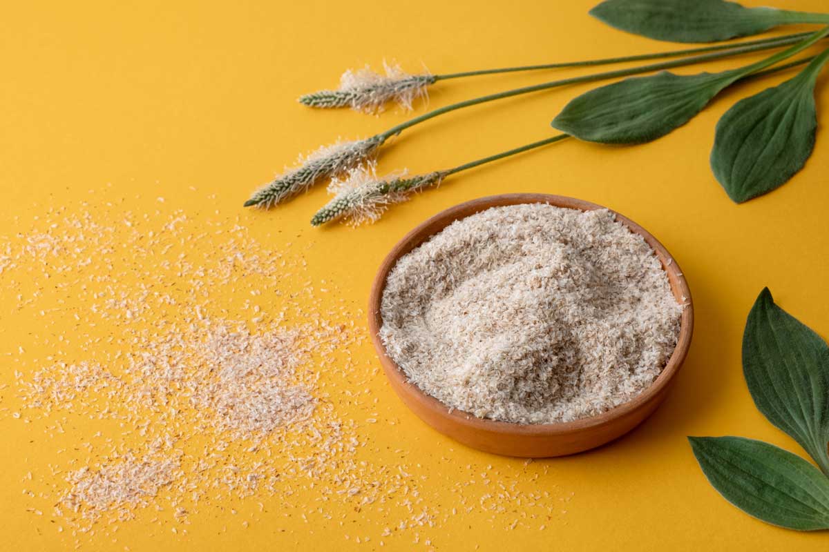 Psyllium, isfagula plant product is the husk of plantain seeds in a plate on a yellow background