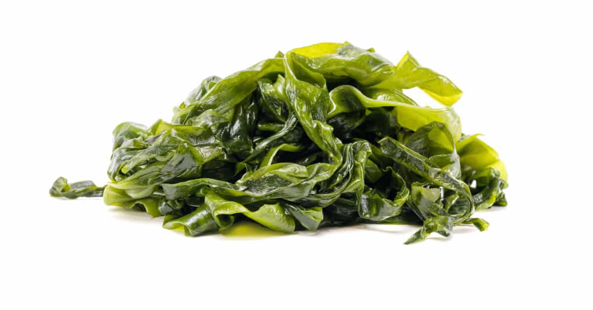 Fresh seaweed isolated on white background.